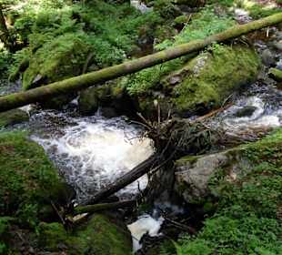 Blick in die Schlucht