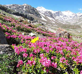Weg zur Marteller Hütte