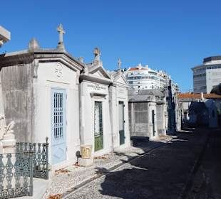 Zwischen den Grabhäuschen