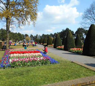 Blumenpracht im Keukenhof