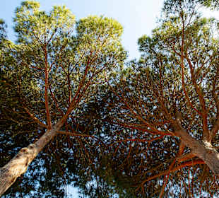 Inselrundfahrt Sardinien