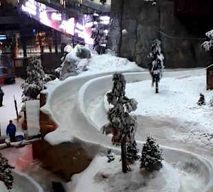 Ski-Dubai 