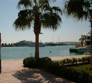 Wer träumt jetzt mit mir ?