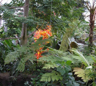 Franklin Park Conservatory