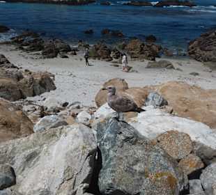 Auf den Spuren der Siedler