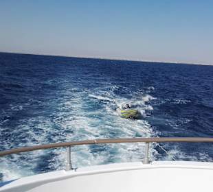 Auf Schnorcheltour nur Deutsche an Board 