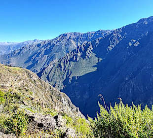 Colca-Canyon
