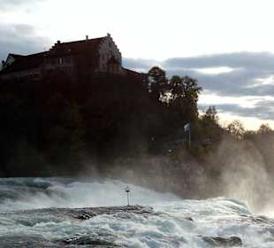 Schloss Laufen in Schaffhausen