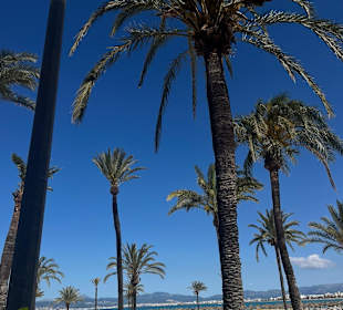 Strand El Arenal/S'Arenal