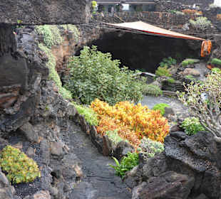 Jameos del Agua