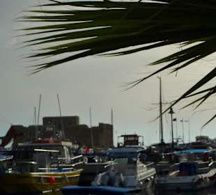Am Hafen von Paphos