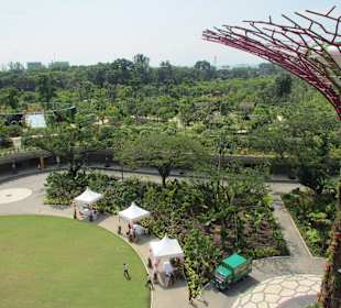 Gardens by the Bay