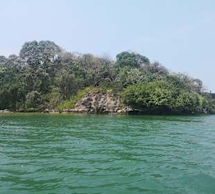 Bentota River
