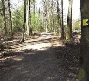 Waldsportpfad im Wasenwald