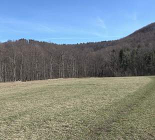 Bolberg Willmandingen