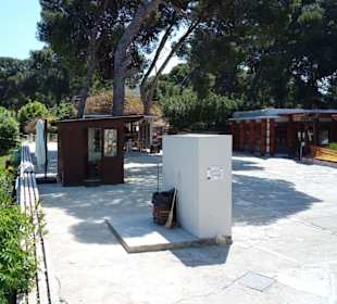 Knossos in Heraklion