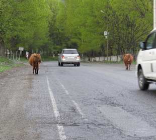 Stadtrundfahrt Stepanzminda