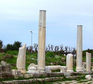 Säulen wieder am Anfang 