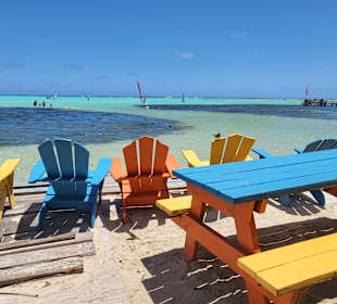 Rundfahrt Insel Bonaire