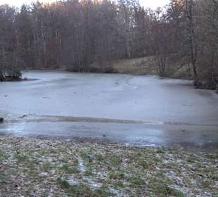 Ochsenweiher Rundweg