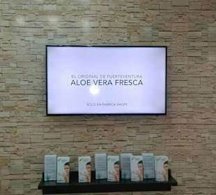  Infocenter Fuerteventura-Esquinzo