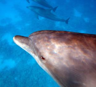 Bilder vom 13.10.16 von mir geschossen