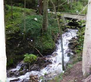 Rundwanderung Breitenstein