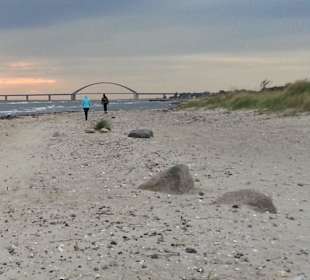 Ausgedehnte Spaziergänge am nahen Strand möglich