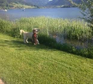 Kurpark Schliersee