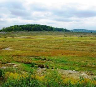 Das Oberbecken Happurger Stausee