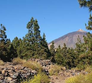 Pico del Teide