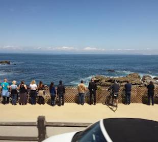 Auf den Spuren der Siedler