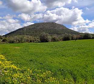 Puig de Randa