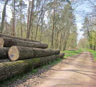 Bei der Lingenfelder Grotte