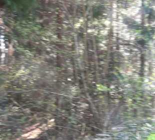 Wanderung Florianrunde