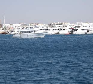 Ausflug zum Schnorcheln und nach Orange Bay