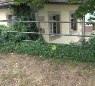 Stein mit Hirschhorn