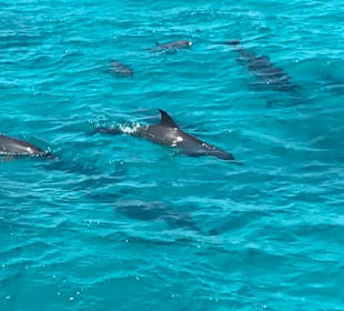 Wir zählen 6 ... bis jetzt ;-)