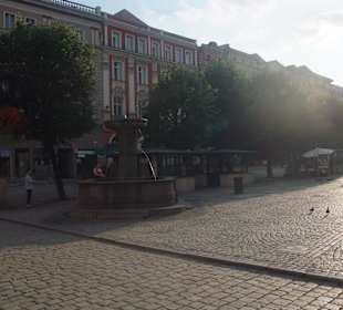 Rynek