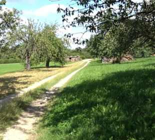Hochgehnießen - Premiumspazierwanderweg