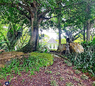 Botanischer Garten