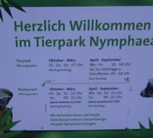 Nymphaea Zoo