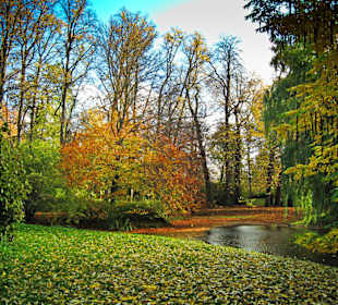 Парк Замка Ойтин.Золотая осень.