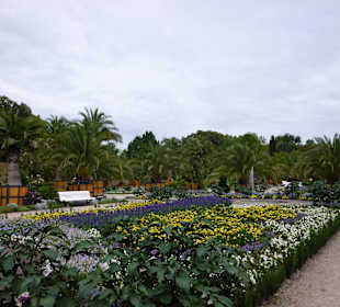 Palmengarten