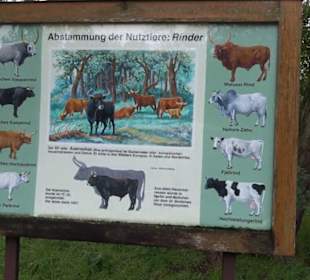 Tierpark 