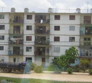 Inseltour zur Schweinebucht