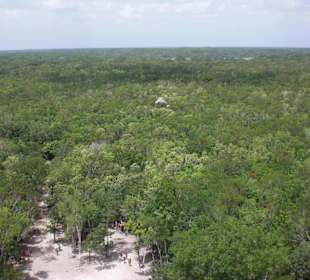 Blick über Dschungel von Hauptpyramide Coba