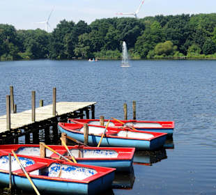 Der Teich im Gesundheitspark