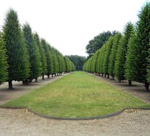 Terrassengarten am Kloster Kamp