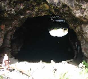 Hier sieht man Albinokrebse